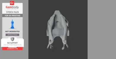 Ypupiara Skull - Skull Replica STL