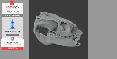 Ypupiara Skull - Skull Replica STL