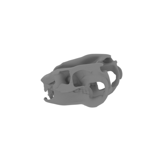 Ypupiara Skull.stl