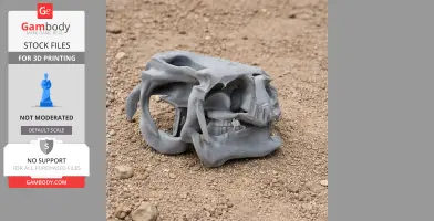 Ypupiara Skull - Skull Replica STL