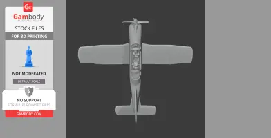ENAER T-35 Pillan - Scale Vehicle STL
