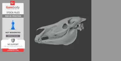 Zby Skull - Skull Replica STL