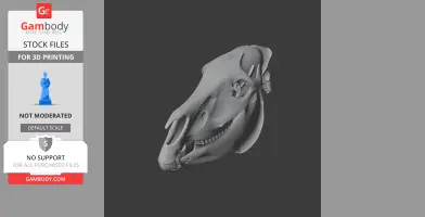 Zby Skull - Skull Replica STL