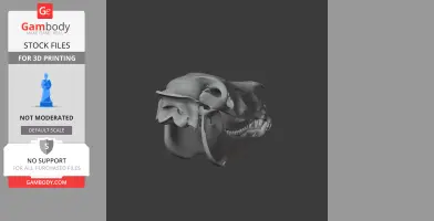Zby Skull - Skull Replica STL