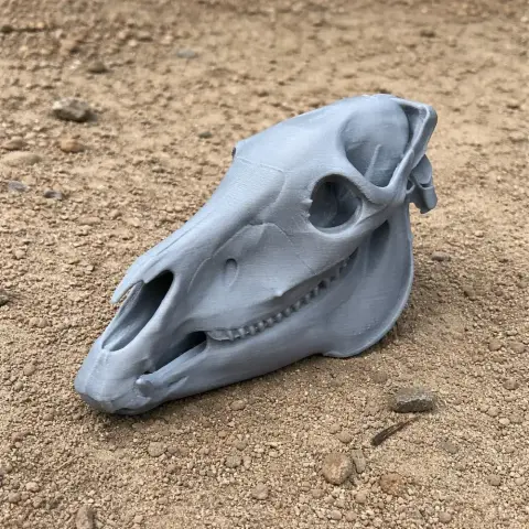 Zby Skull - Skull Replica STL