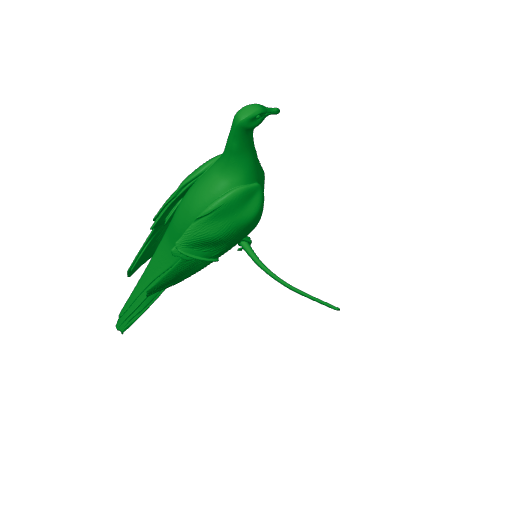 Barking imperial pigeon.3mf