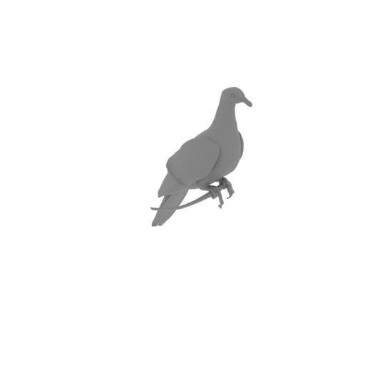 Barking imperial pigeon.stl