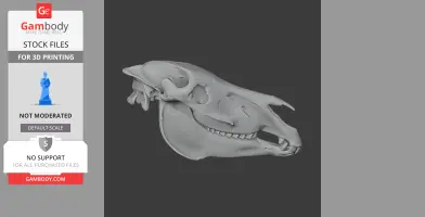 Zebra Skull - Skull Replica STL