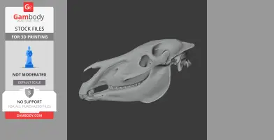 Zebra Skull - Skull Replica STL