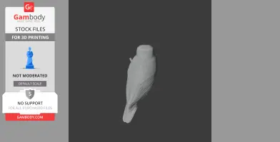 3D model of a prehistoric barking owl, detailed feather texture, for 3D printing.