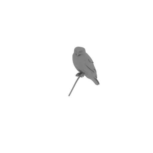Barking owl.stl