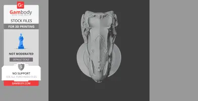 Zhenyuanlong Skull - Skull Replica STL