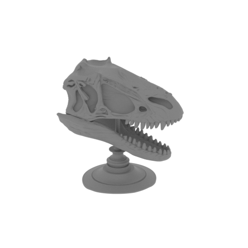Zhenyuanlong Skull.stl