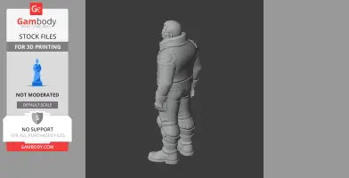3D model of a character in a heavy jacket from Deep Rock Galactic, viewed from behind.