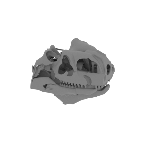 Yi (dinosaur) Skull.stl