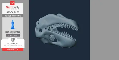 3D model of a Zygomaturus skull with open jaws, showing detailed teeth and bone structure.
