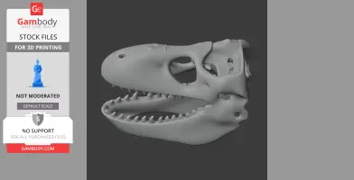 3D model of a Zygomaturus skull, featuring distinctive large teeth and hollow eye sockets.