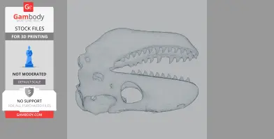3D model of a Zygomaturus skull with large teeth and detailed features, suitable for 3D printing.