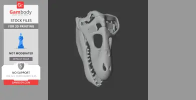 3D model of a Zygomaturus skull, showing detailed contours and teeth, for 3D printing.