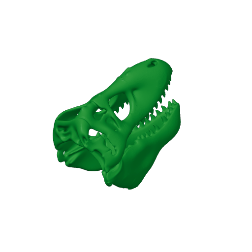 Zygomaturus Skull.3mf