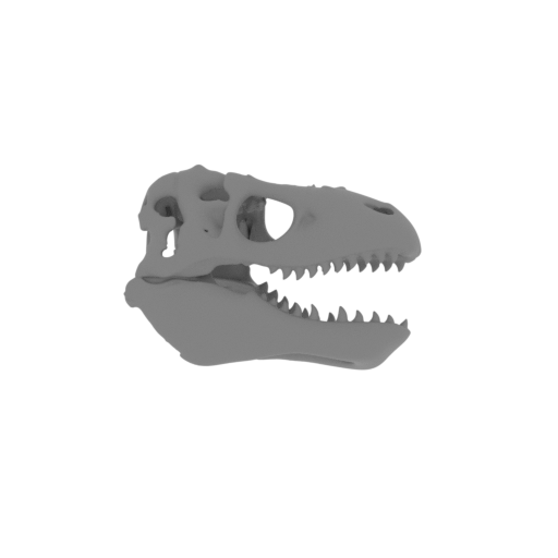 Zygomaturus Skull.stl