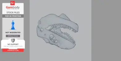 3D model of a Zygomaturus skull with detailed teeth, suitable for printing.