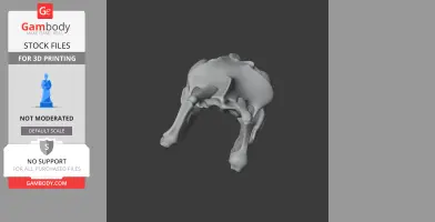 3D model of a yellow anaconda skull replica, designed for 3D printing.