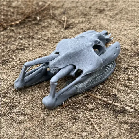 3D printed yellow anaconda skull replica, gray, lying on sandy surface.