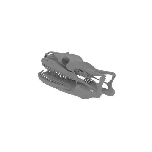 Yellow Anaconda Skull.stl