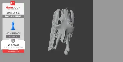3D model of an anaconda skull replica, showing detailed bone structures for 3D printing.