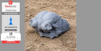 3D printed Zhongjianosaurus skull replica on gravel. Compact, detailed design for 3D printing.