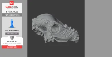 3D model of a detailed Zhongjianosaurus skull, featuring textured bone and teeth, for 3D printing.