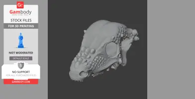 3D model of a textured Zhongjianosaurus skull with detailed bone structure for 3D printing.