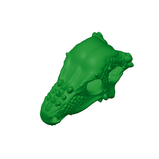 Zhongjianosaurus Skull.3mf