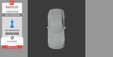 Top view of a gray 3D model of a Ferrari 12Cilindri, for 3D printing.
