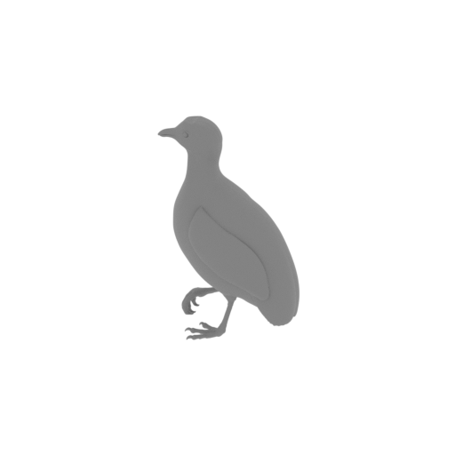 Barred buttonquail.stl