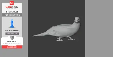Barred cuckoo-dove - Prehistoric Animal STL