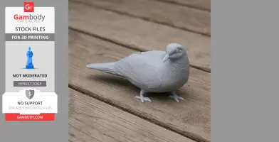 Barred cuckoo-dove - Prehistoric Animal STL