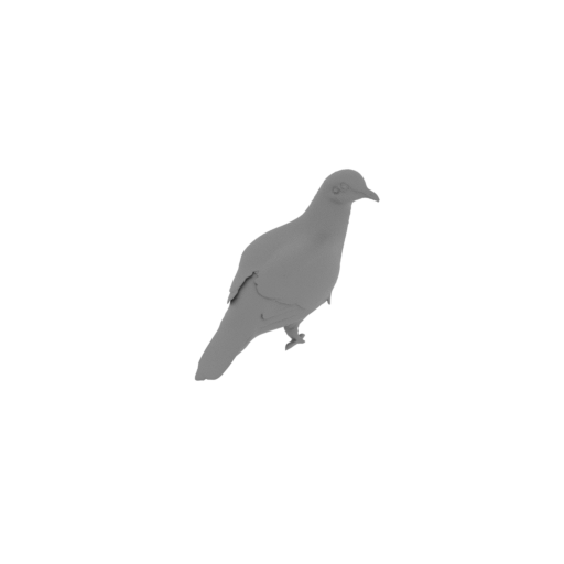 Barred cuckoo-dove.stl