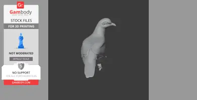 Barred cuckoo-dove - Prehistoric Animal STL