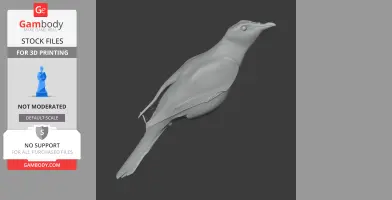 Barred cuckooshrike - Prehistoric Animal STL