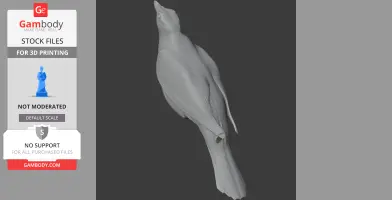 Barred cuckooshrike - Prehistoric Animal STL