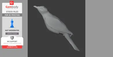 Barred cuckooshrike - Prehistoric Animal STL