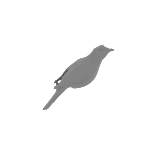 Barred cuckooshrike.stl