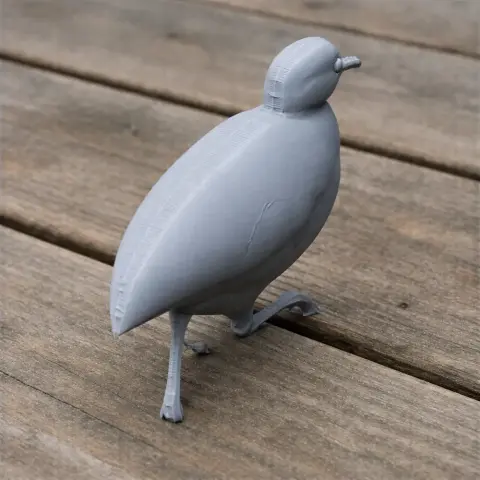 3D-printed model of a barred tinamou bird on a wooden surface.