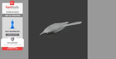 A 3D model of a prehistoric bird, streamlined body with a pointed beak and elongated tail, in grayscale.