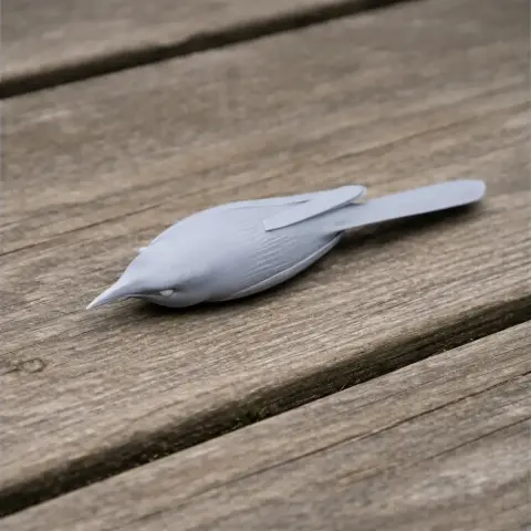 3D-printed model of a barred wren-warbler lying on a wooden surface.
