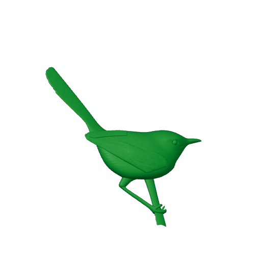 Barred wren-warbler.3mf
