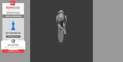 3D model of a Barusan cuckoo-dove perched on a branch, designed for 3D printing.