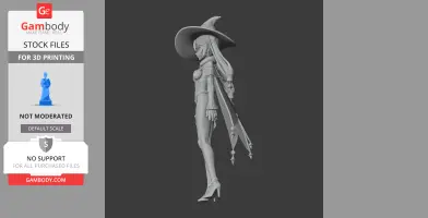 3D model of a sorceress with long hair, a cape, and a pointed hat, standing in profile.